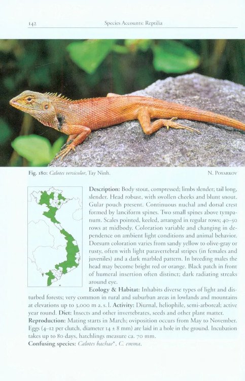 a photographic field guide to the amphibians and reptiles of the lowland monsoon forests of southern vietnam