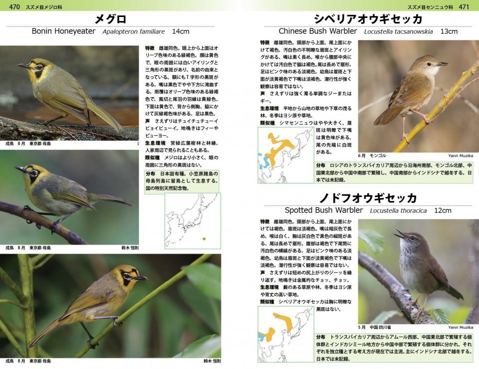 a photographic guide to the birds of japan and north-east asia