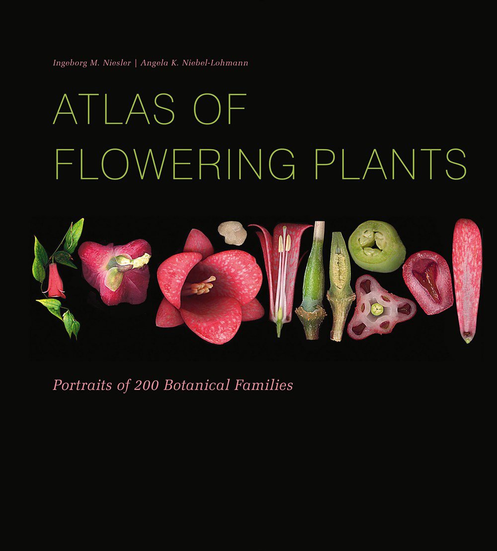 atlas of flowering plants