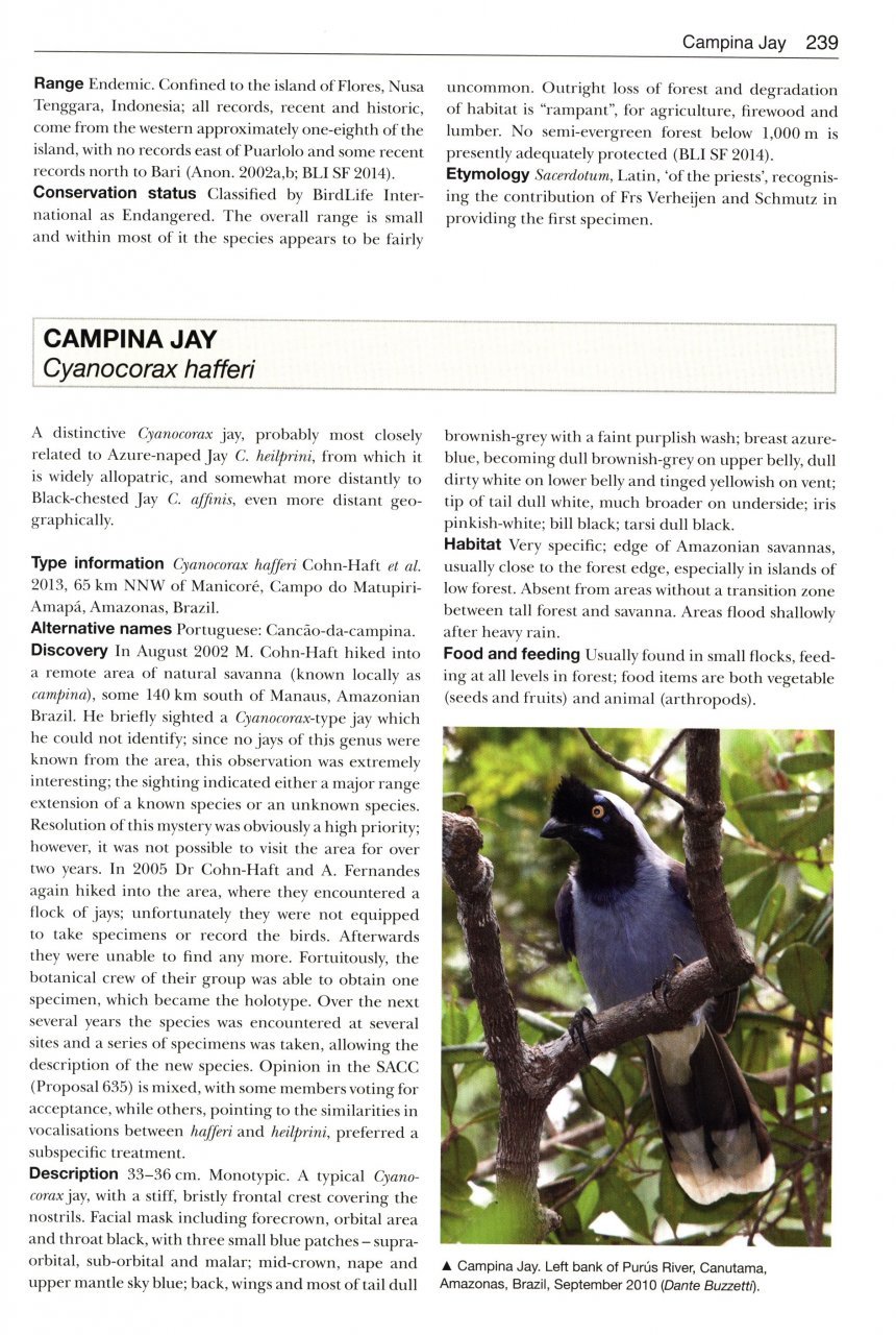 birds new to science: 50 years of avian discoveries