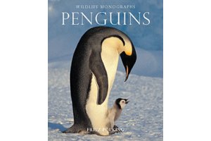 birds of antarctica