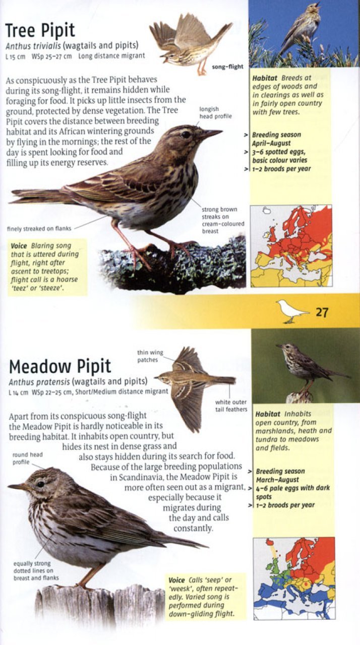 birds of britain and europe