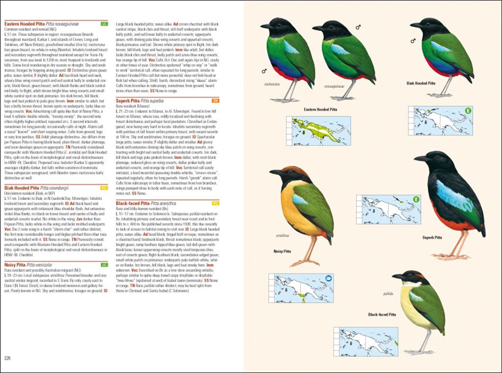 birds of new guinea. including bismarck archipelago and bougainville