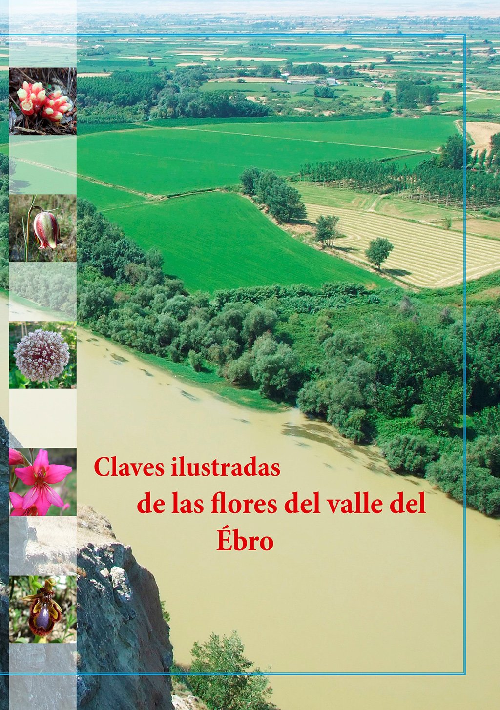claves ilustradas de las flores del valle del ebro