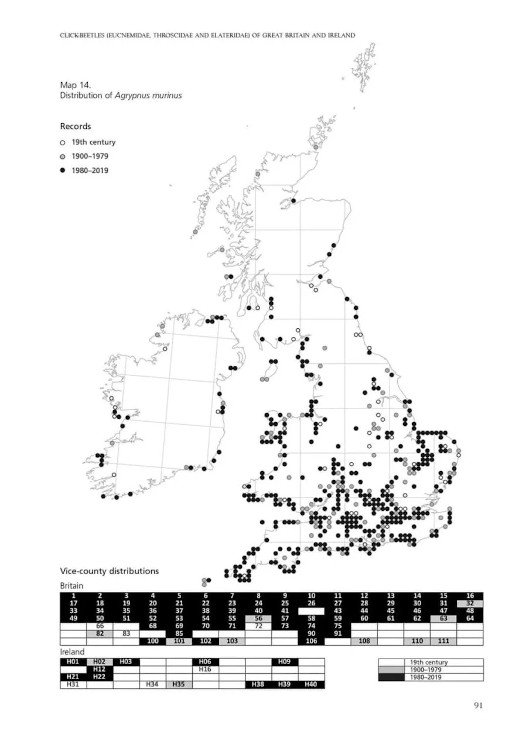 click-beetles of great britain and ireland. an atlas and natural history