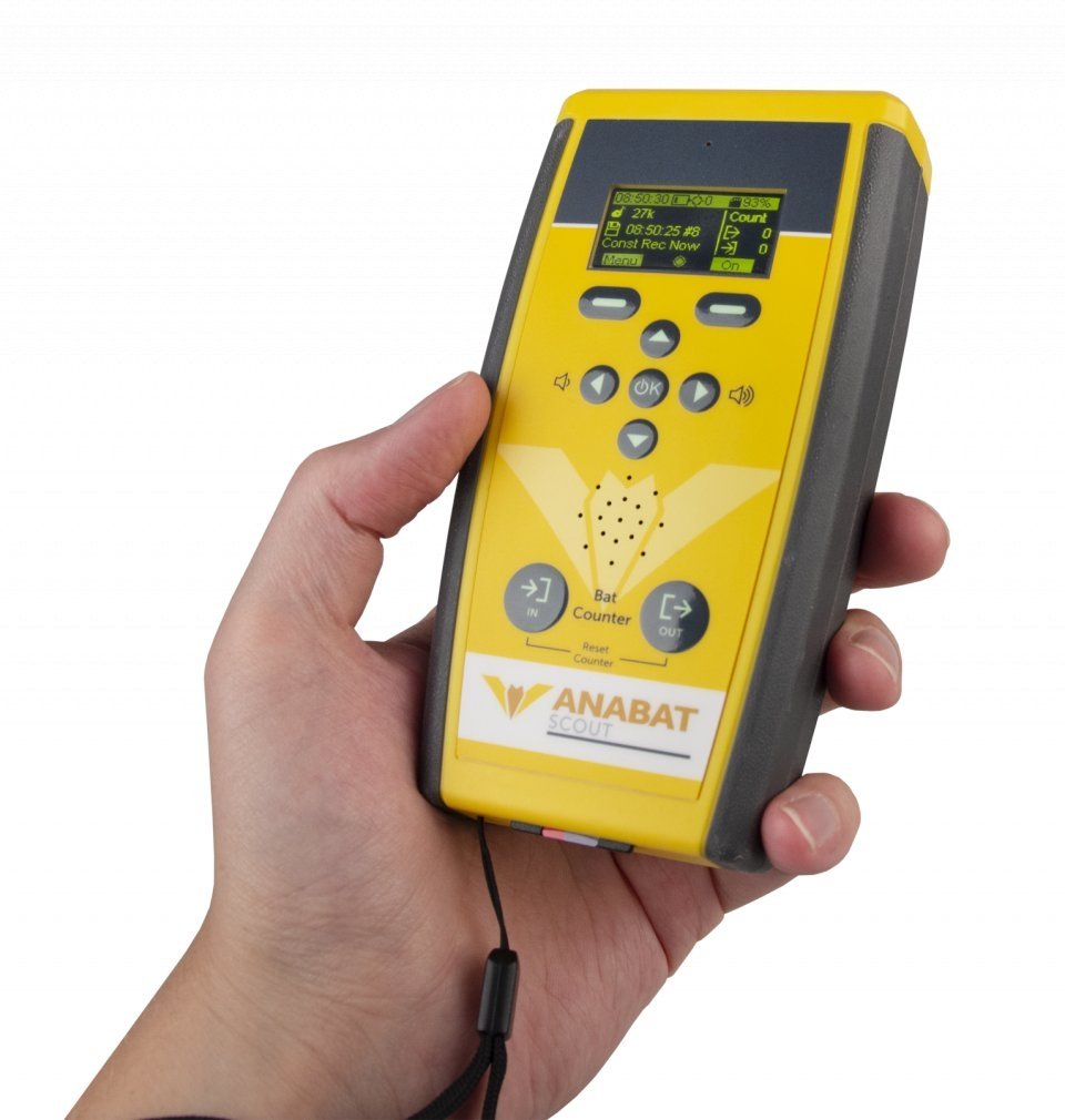 detector de ultrasonidos anabat scout