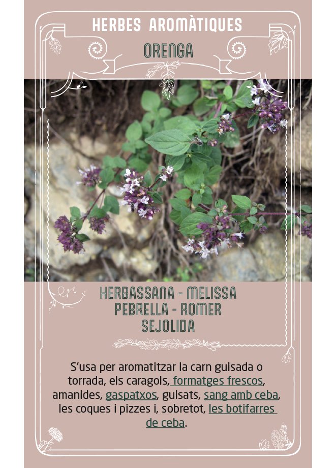 el joc de les plantes