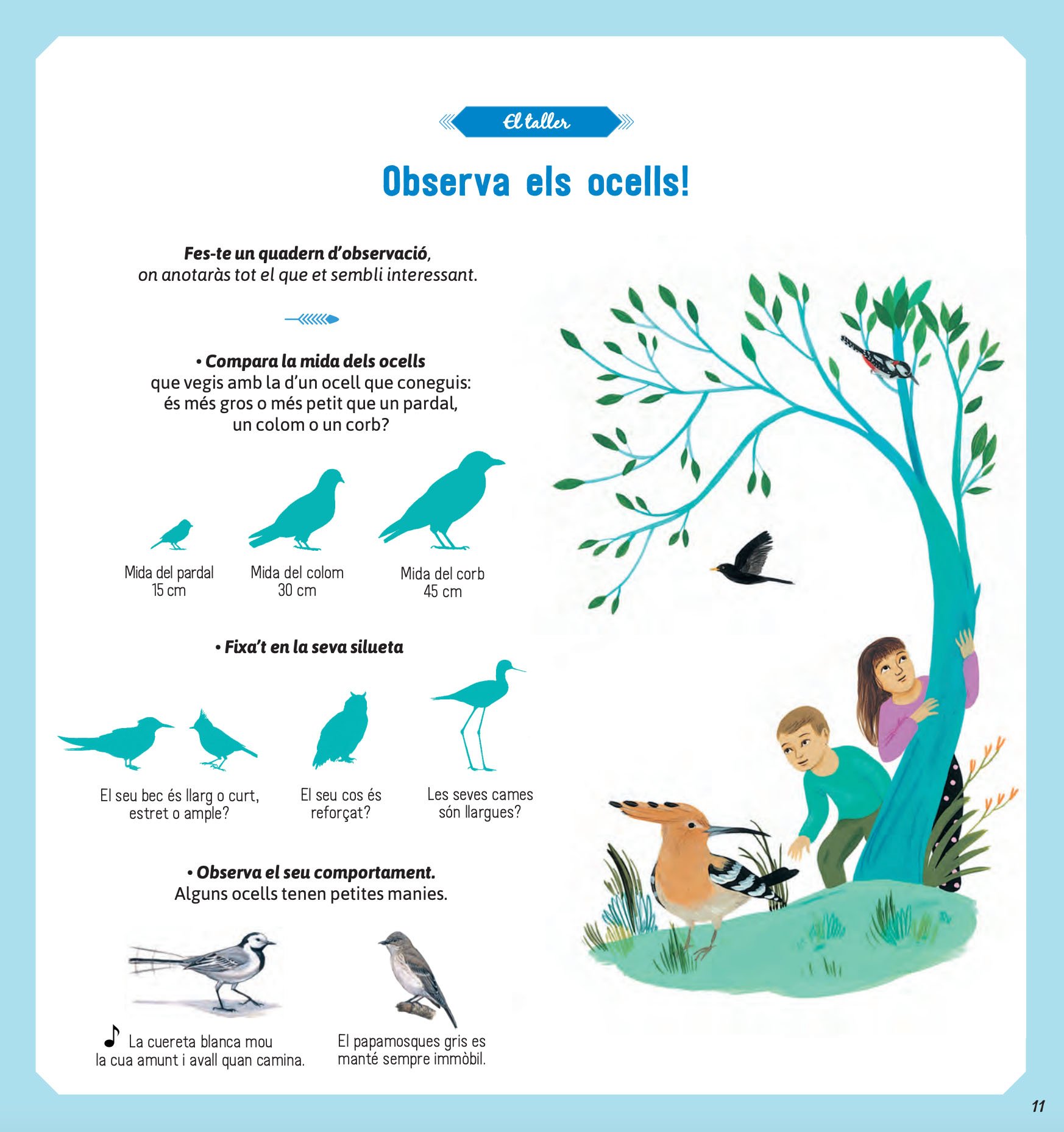 el llibre dels ocells