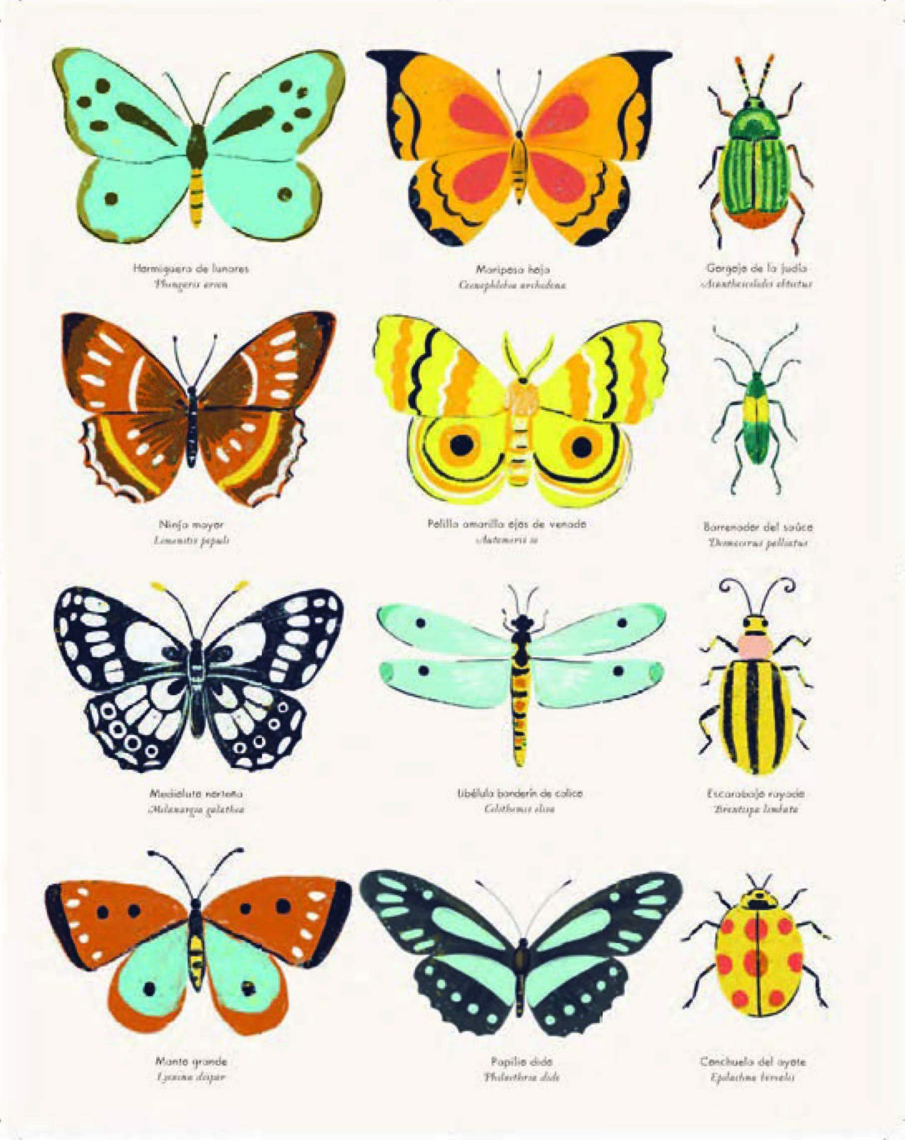 el origen de las especies de charles darwin