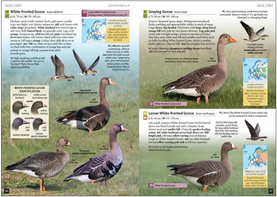 europe's birds. an identification guide