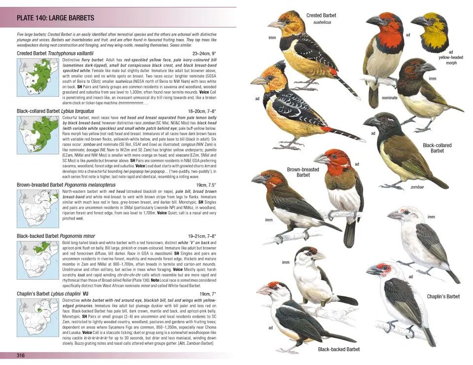 field guide to birds of greater southern africa