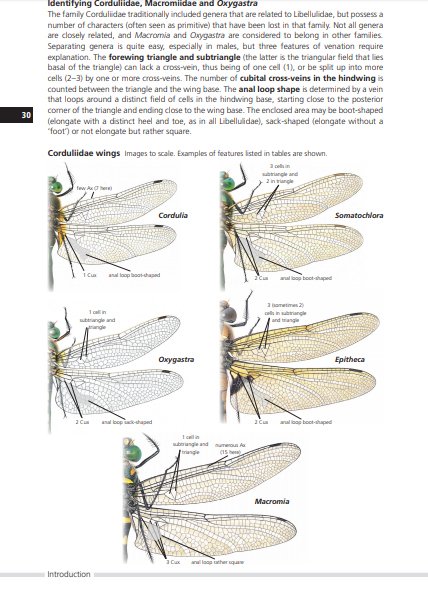 field guide to the dragonflies of britain and europe including western turkey and north-western africa