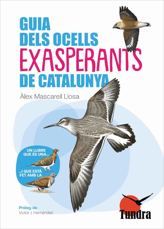 guia dels ocells exasperants de catalunya