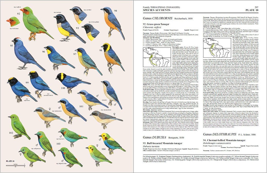 handbook of the birds of the world, vol. 16. tanagers to new world blackbirds