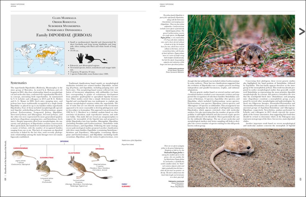 handbook of the mammals of the world. vol. 7 rodents ii