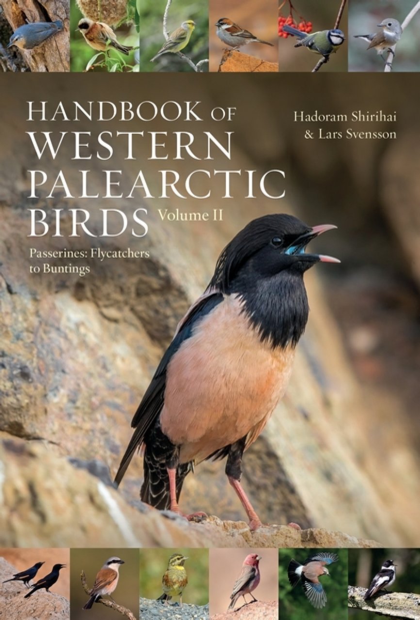 handbook of western palearctic birds. passerines