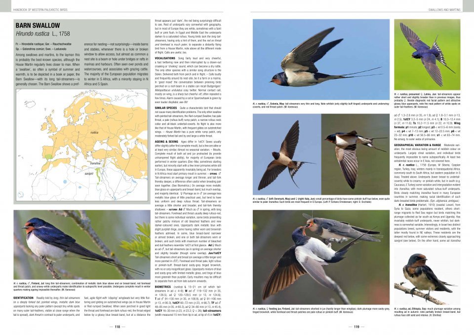 handbook of western palearctic birds. passerines