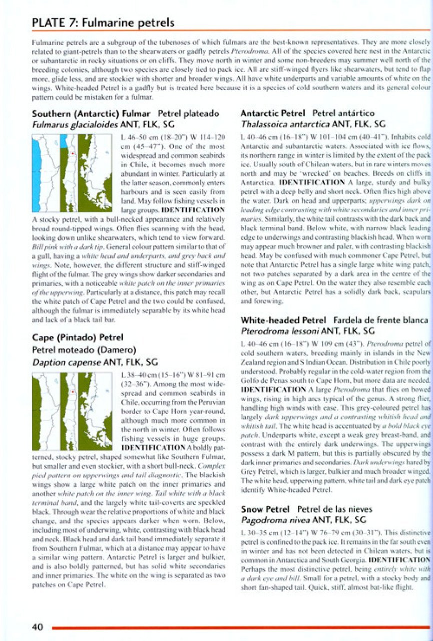 helm field guides. birds of chile including the antarctic peninsula, the falkland islands and south georgia