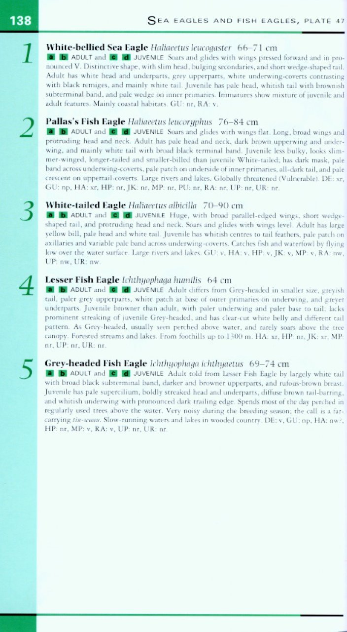 helm field guides. birds of northern india
