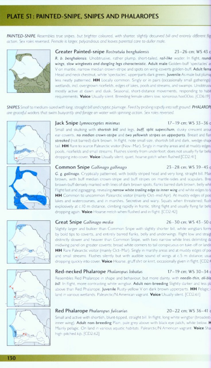 helm field guides. birds of senegal and the gambia