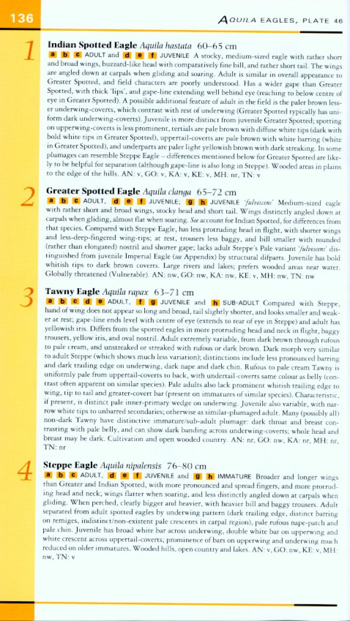 helm field guides. birds of southern india
