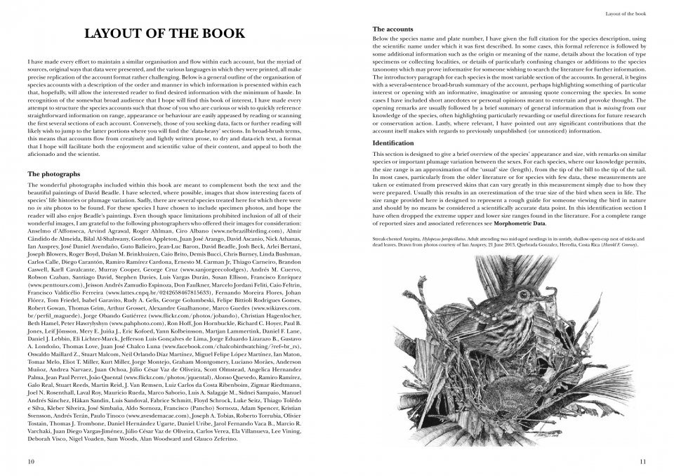 helm identification guides. antpittas and gnateaters