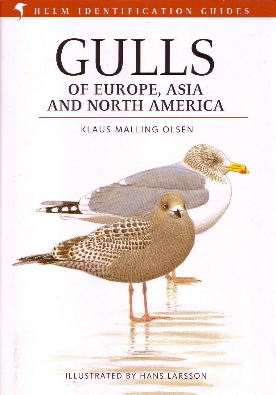 helm identification guides. gulls of europe, asia & north america