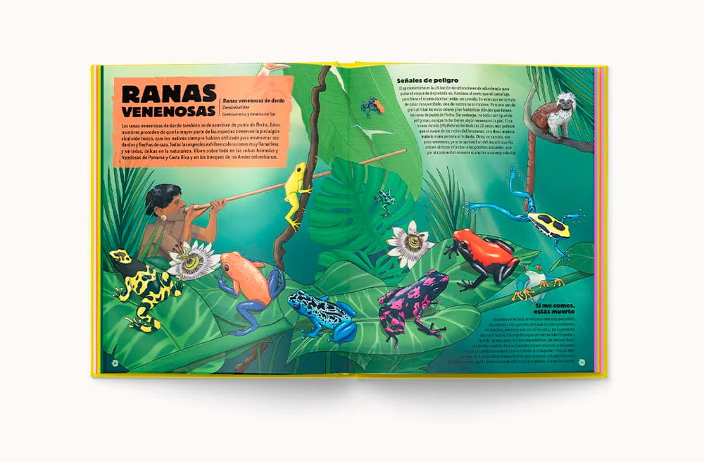 historias de colores