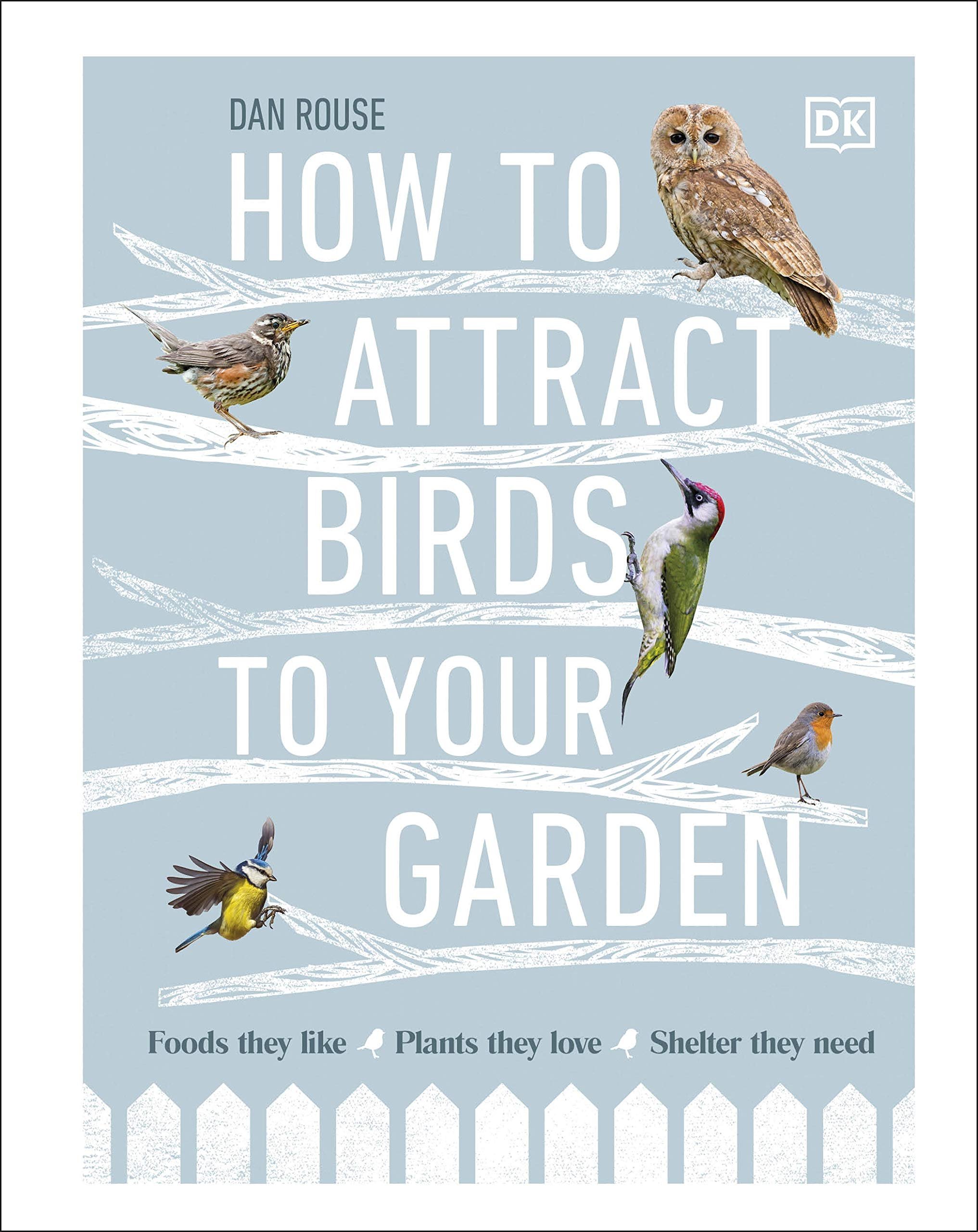 how to attract birds to your garden: food they like, plants they love, shelter they need