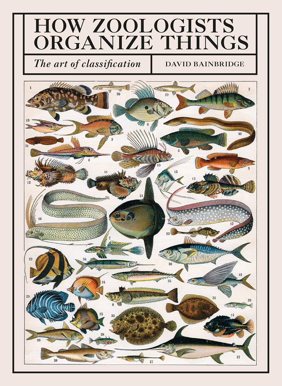 how zoologists organize things: the art of classification