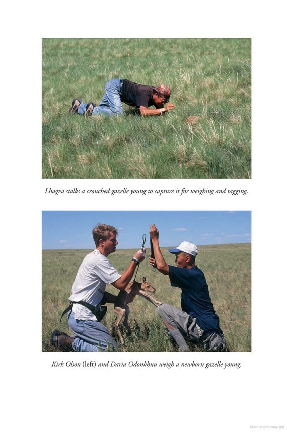 into wild mongolia