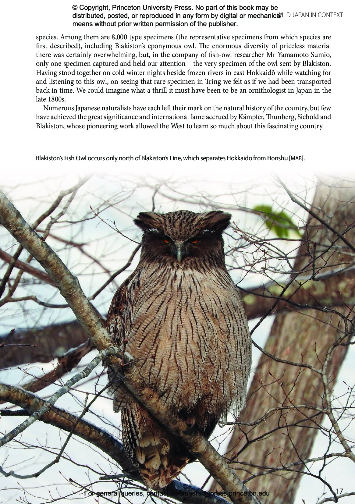 japan. the natural history of an asian archipelago