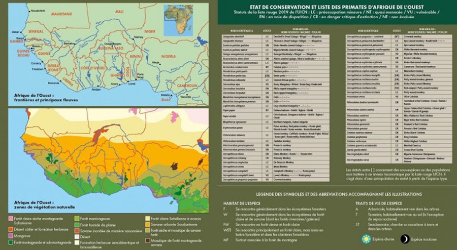 les primates d'afrique de l'ouest. guide d'identification de poche