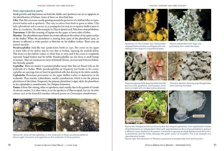 lichens of ireland & great britain: a visual guide to their identification (2 volume set)
