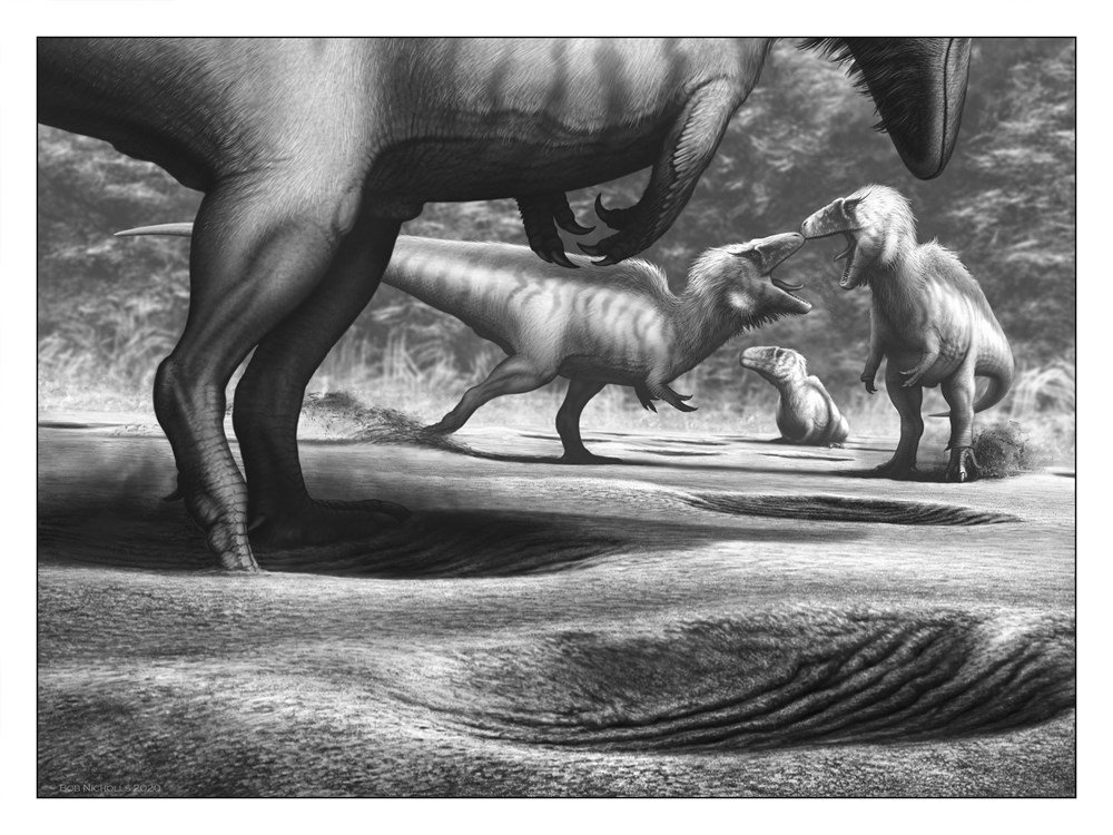 locked in time. animal behavior unearthed in 50 extraordinary fossils