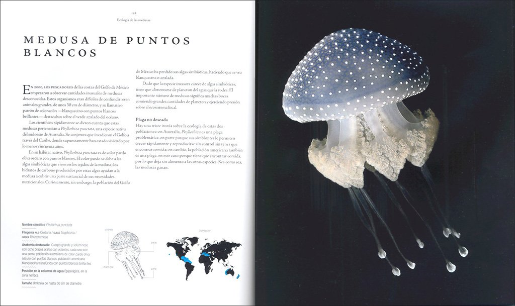 medusas. una historia natural