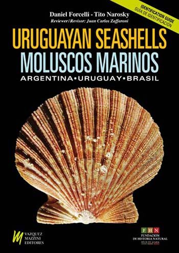 moluscos marinos de argentina, uruguay y brasil