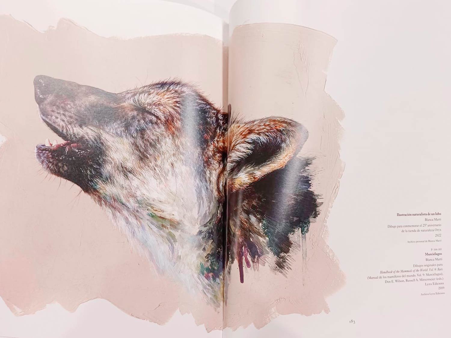 naturaleza ilustrada un encuentro entre arte y ciencia