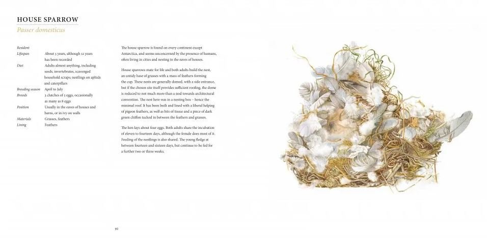 nests