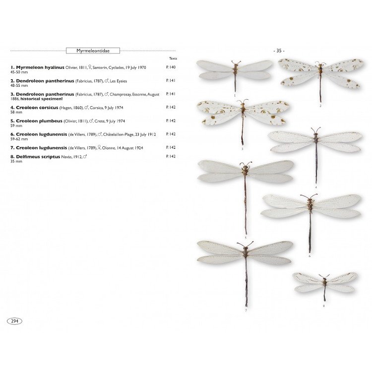 neuropteroids of europe, neuroptera, trichoptera, plecoptera, mecoptera, megaloptera and raphidioptera