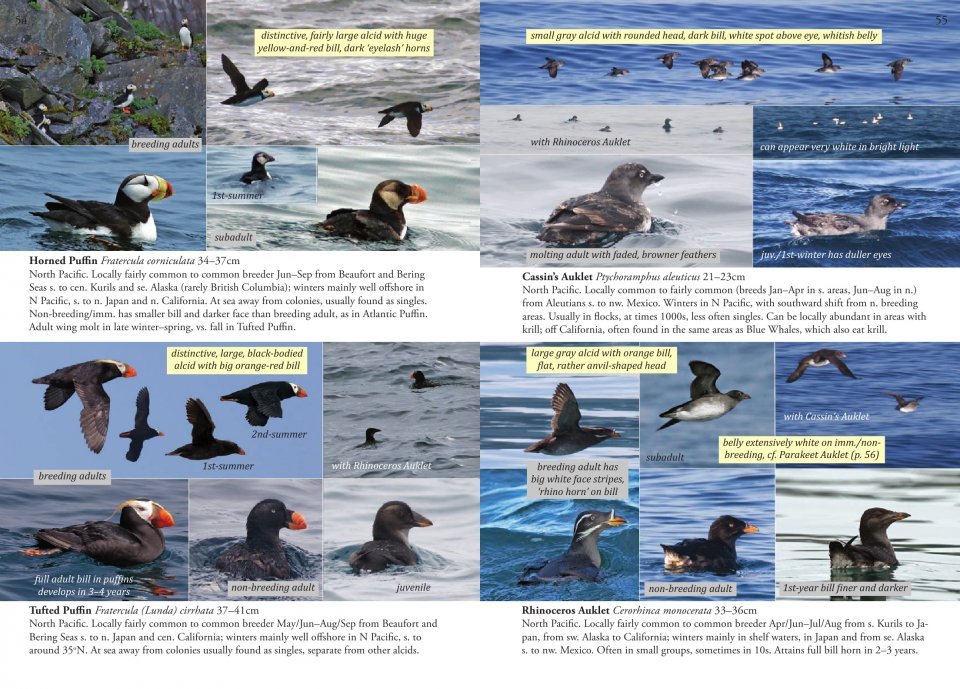 oceanic birds of the world