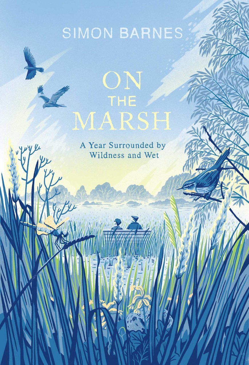 on the marsh: a year surrounded by wildness and wet