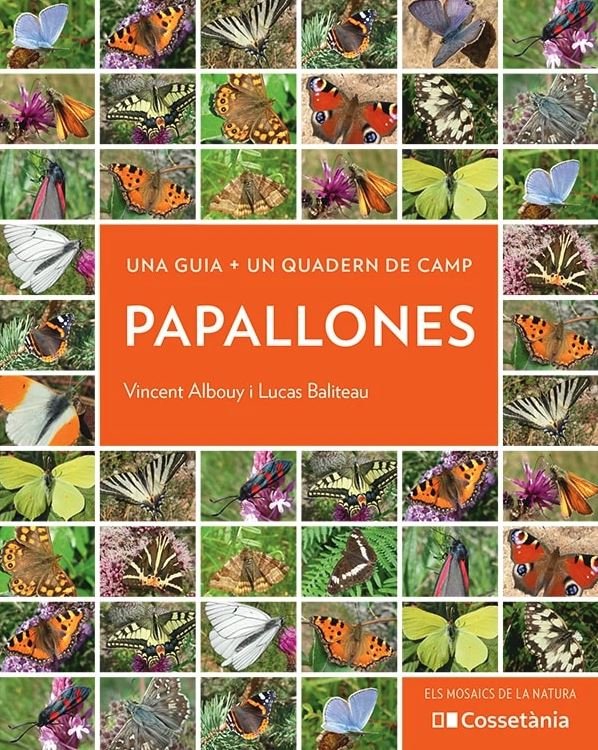 papallones. una guia + un quadern de camp