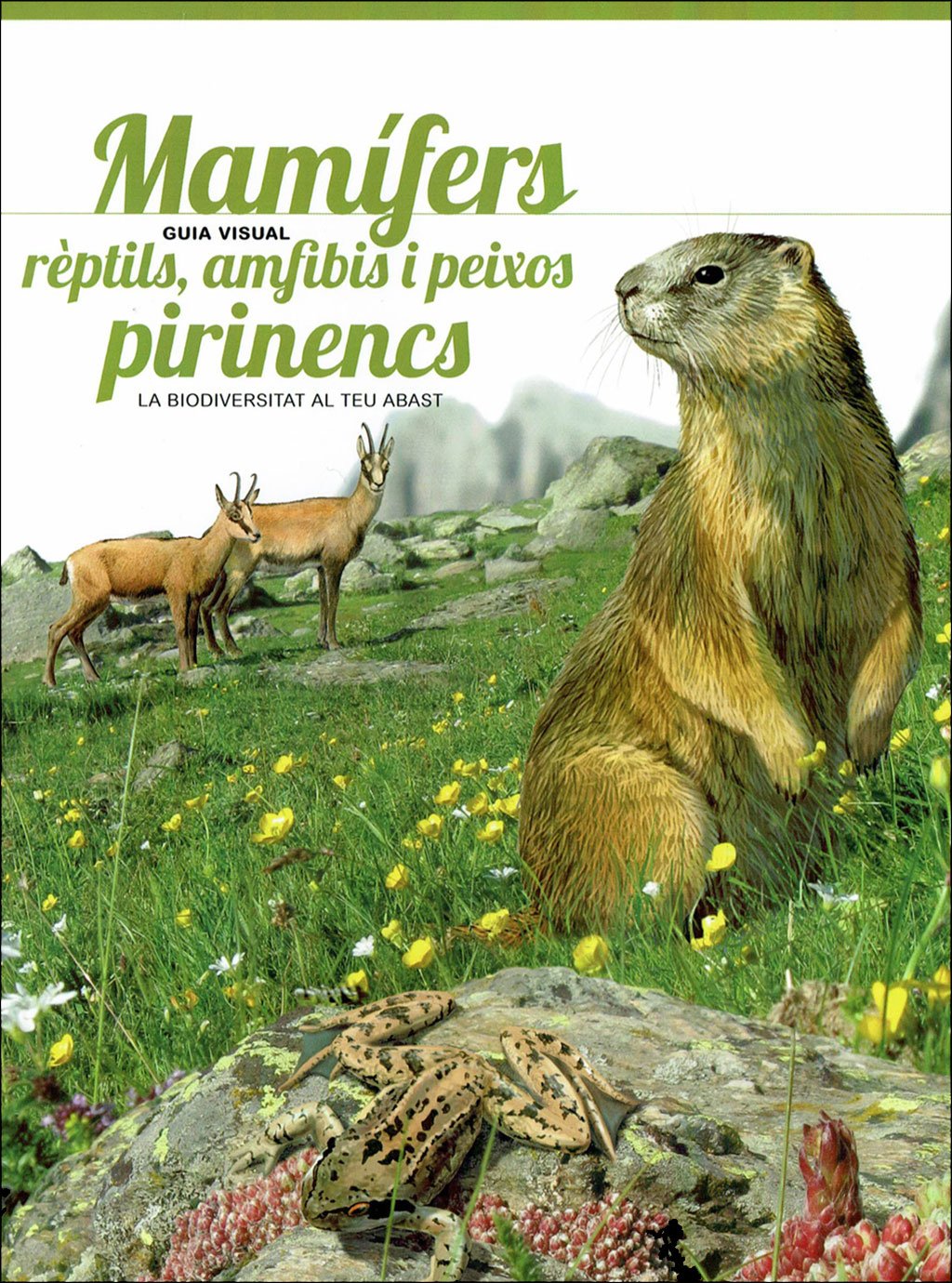 pirinencs. 6 guies visuals de flora i fauna