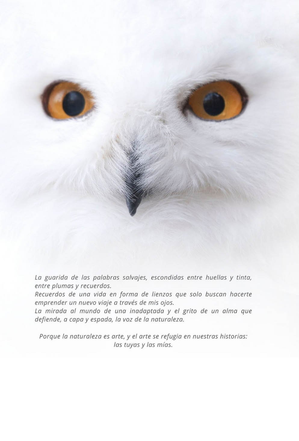 pluma de tinta