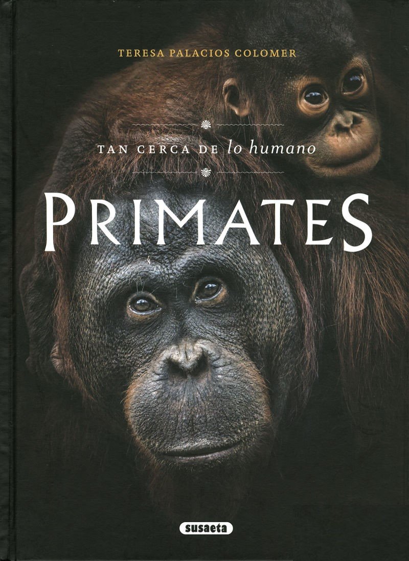 primates. tan cerca de lo humano
