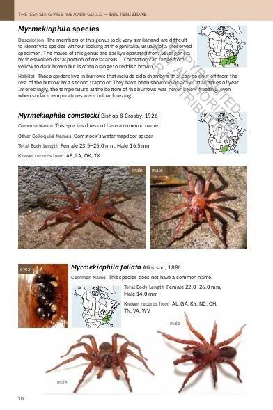 princeton field guide spiders of north america