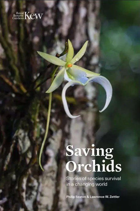 saving orchids. stories of species survival in a changing world
