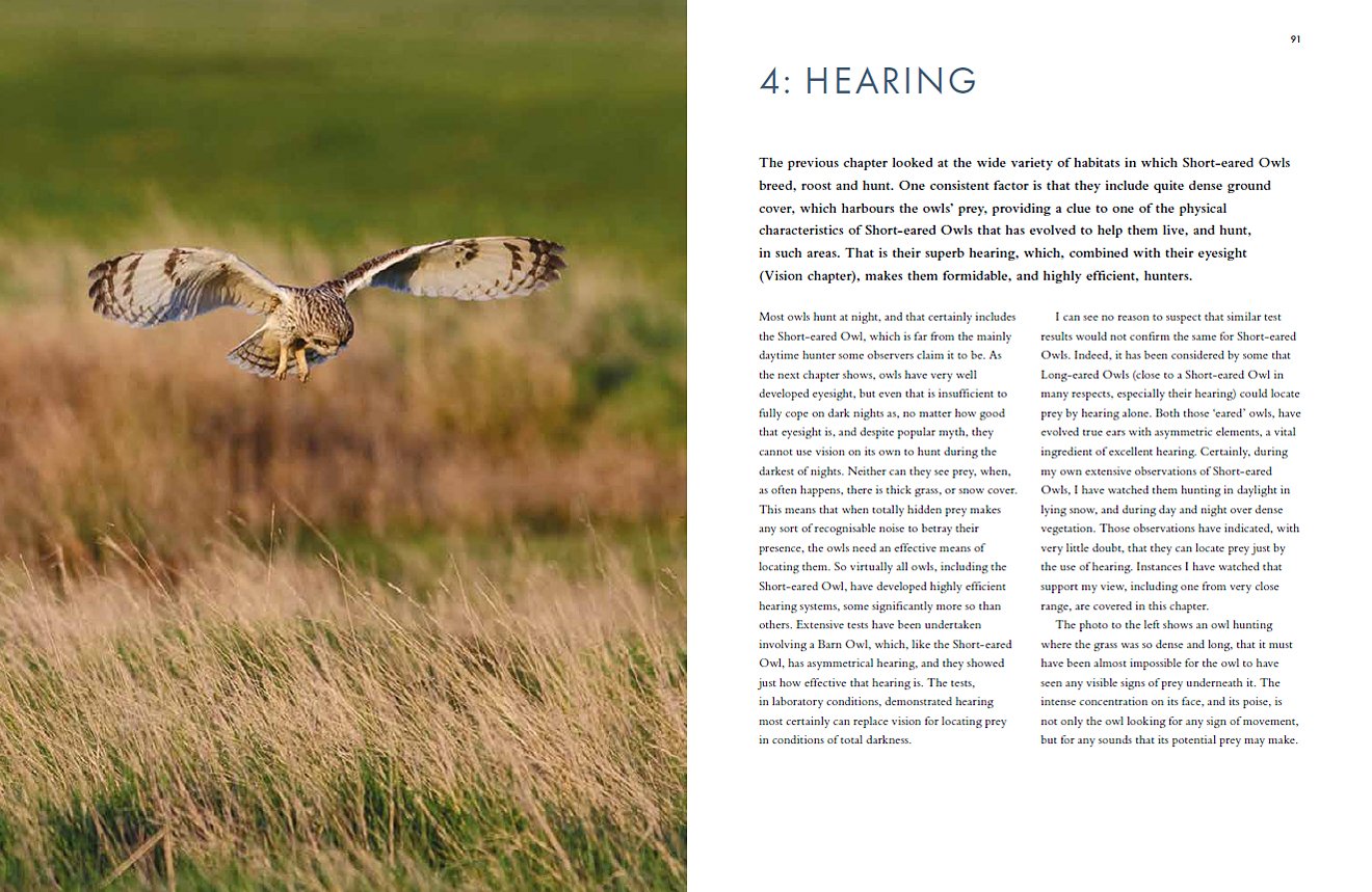 short-eared owls. an extensive study of short-eared owls in britain