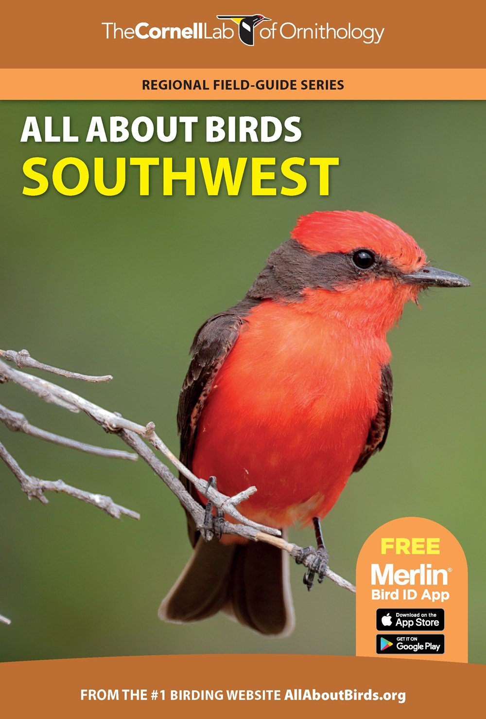 the cornell lab of ornithology. regional field guide series. all about birds southwest